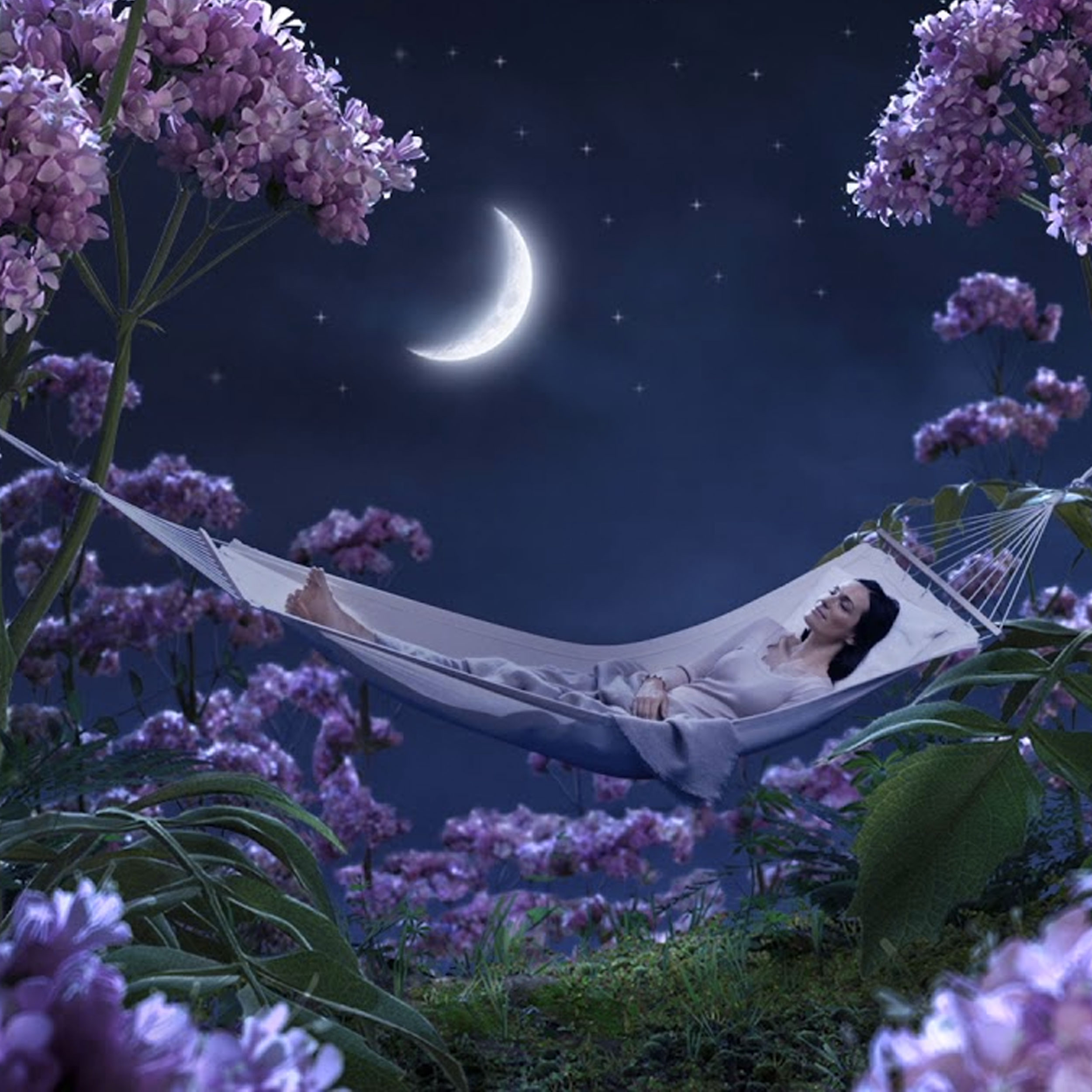 Klosterfrau woman lavendel night
